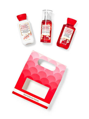 Bath & Body Works JAPANESE CHERRY BLOSSOM Mini Gift Box Set